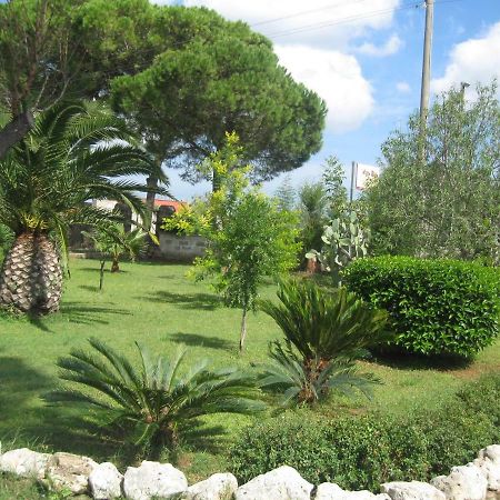 Villa Rita Bed & Breakfast Campi Salentina Extérieur photo